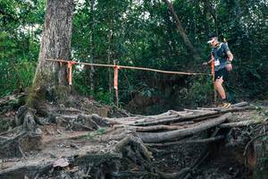 BIB: 
                            <button type="button" onclick="openModal(27309856)" class="btn btn-primary btn-sm float-right btn-popup" data-toggle="modal" data-target=".modal-high-quality">
                        <i class="fas fa-shopping-cart"></i> Add to Cart
                    </button>
                                            <button type="button" onclick="isThisMe(27309856, true)" class="btn btn-success btn-sm float-right btn-popup btn-isme hidden" data-toggle="tooltip" data-placement="bottom" title="นี่คือรูปของคุณใช่ไหม คลิกที่นี่เพื่อเอาเข้าอัลบั้ม">
                        <i class="fas fa-plus"></i> Add to album
                    </button>
                    <button type="button" onclick="isThisMe(27309856, false)" class="btn btn-warning btn-sm float-right btn-popup btn-isnotme hidden">
                        <i class="fas fa-ban"></i> Remove from album
                    </button>